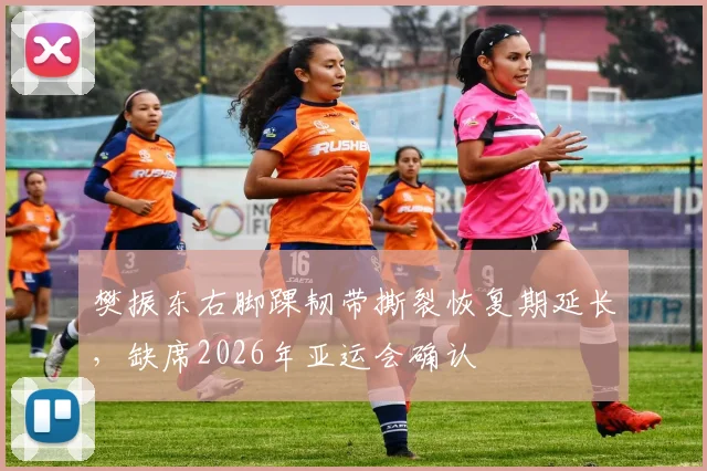 樊振东右脚踝韧带撕裂恢复期延长，缺席2026年亚运会确认